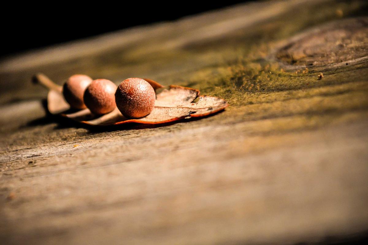 주요 프로젝트 사례